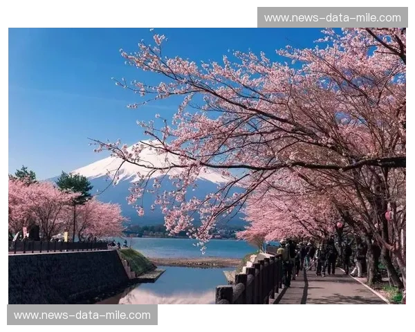 山形山神vs冈山：一场跨越时空的樱花之约，与信仰的温柔对话